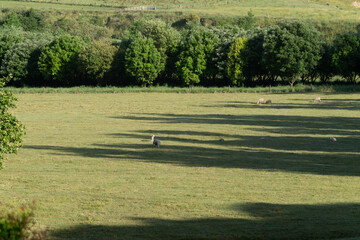 Obraz premium Rural Hawkes Bay scene