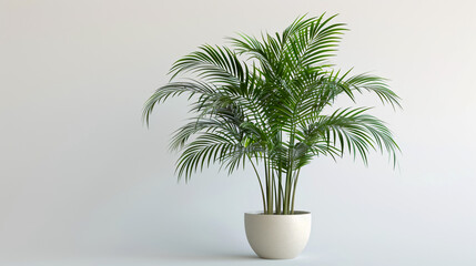 Obraz premium Palm Trees in Pot: 3D illustration of palm trees in a pot on a white background, emphasizing a tropical vibe.