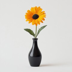Fototapeta premium A vibrant yellow sunflower in a sleek black vase against a white backdrop, perfect for minimalist and modern design themes.