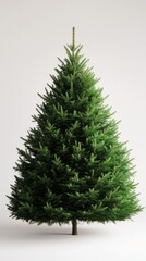 Fototapeta premium Vibrant green pine tree isolated on a white background, ideal for holiday, nature, and seasonal themes.