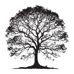 Tree Silhouette illustration Vector design. Oak bare tree silhouette vector illustration. tree silhouette isolated on white background