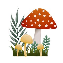 Mushroom and grass