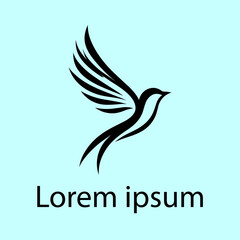 Obraz premium Bird Logo Design Template