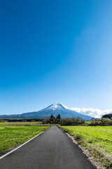 富士山へ一直線に向かう一本道