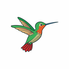 A Hummingbird vector