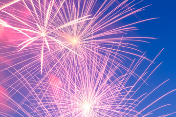 Fototapeta premium Abstract background. Beautiful colorful holiday fireworks in the evening sky.