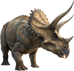 Fototapeta premium Triceratops clipart showcases prehistoric charm with festive winter holiday vibes. 