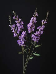 Obraz premium Purple flowers in a vase