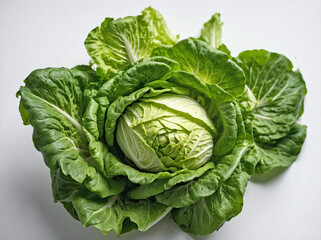 Obraz premium An overhead view of cabbage against a plain white background.