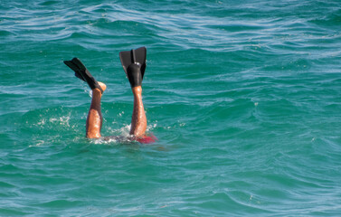 A snorkeler's legs with flippers extend above turquoise waves, creating a dynamic and playful scene amidst the shimmering ocean water in los Cabos, Baja California Sur, Mexico. © oasisamuel
