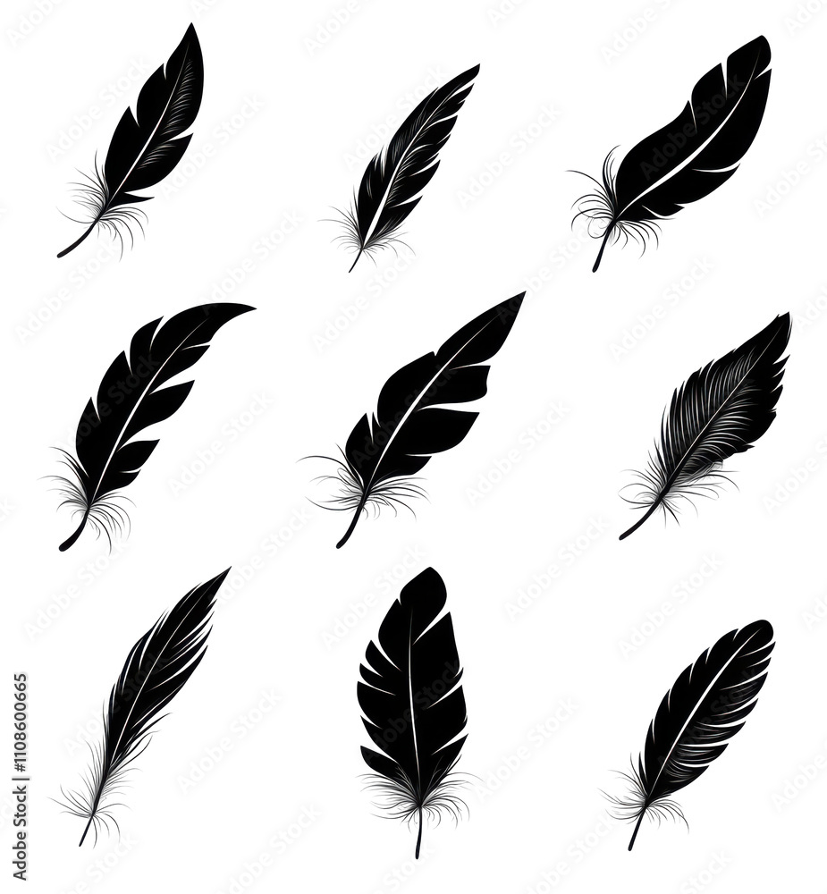 Poster dark feathers transparent background nature texture design elements
