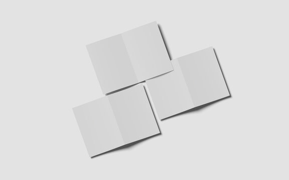 Bifold Mockup on White Background