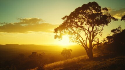 Fototapeta premium Golden Sunset Over Hilly Landscape With Silhouetted Tree