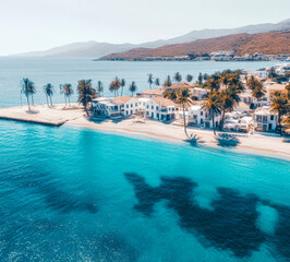 Scenic coastal view of a tropical beach with charming white houses and palm trees