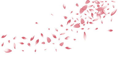 TS-18__Pudra2_01.eps