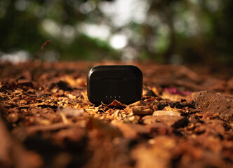Earpods product shot in forest golden light canopy