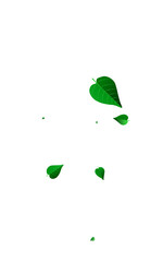 1600x2560grad-04__list_2_01.eps