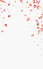 Obraz premium Red_Rose_Petal_Transparent_Background_85.eps