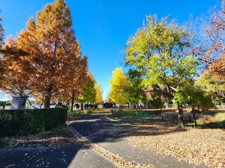 埼玉県農業公園の晩秋風景