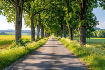 Obraz premium Country Road with Trees and Fields