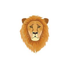Lion Face vector design on white background.