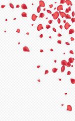 Red_Rose_Petal_Transparent_Background_227.eps