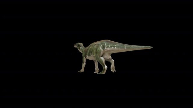 Iguanodon Bernissartensis Walk 3D Video Animation