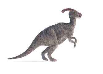 Detailed depiction of a parasaurolophus dinosaur