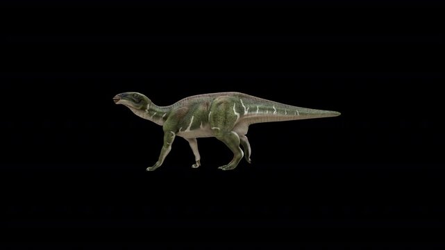 Iguanodon Bernissartensis Walk 3D Video Animation