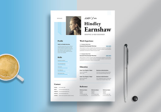 Professional Resume And CV Layout