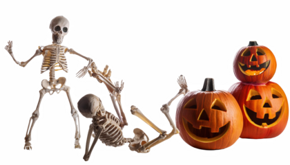 Halloween Skeletons with Jack o lanterns Spooky Fun Autumn Decor