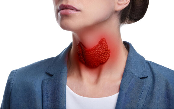 Woman Thyroid Gland Anatomy Medical Healthcare Human Body