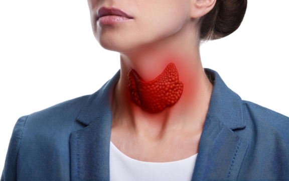 Woman Thyroid Gland Anatomy Medical Healthcare Human Body