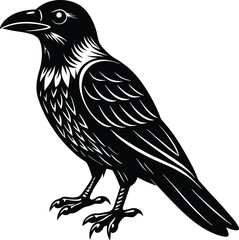 Fototapeta premium picture crow with white background vector silhouette illustration