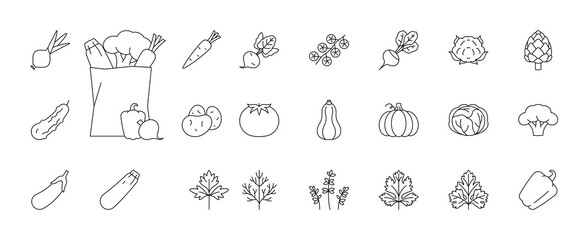 Vegetable, line icons - carrot, beet, onion, garlic, potatoes, pumpkin, cabbage, broccoli, pepper, zucchini, parsley, dill, cilantro and others. Full grocery bag. Linear illustration, editable stroke