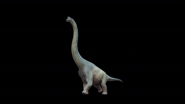 Brachiosaurus Walk Loop 3D Video Animation