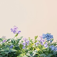 Fototapeta premium Blooming comfrey flowers with droplets of rainwater in a garden, beauty in nature, clean, seasonal