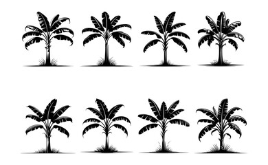 Fototapeta premium banana tree silhouette set, isolated background