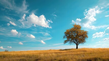 Obraz premium autumn landscape with sky and clouds