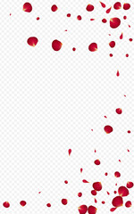 Obraz premium Red_Rose_Petal_Transparent_Background_250.eps