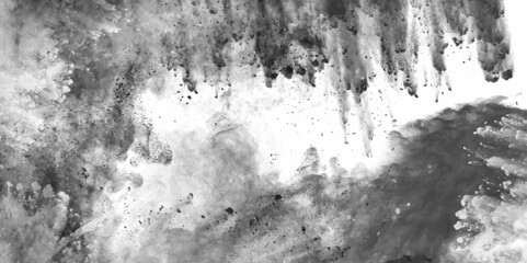 Obraz premium Abstract background with white , grey watercolor paint. abstract color powder explosion on white background. Freeze motion of dust splash. Artwork for creative banner, card, template, design vector. 