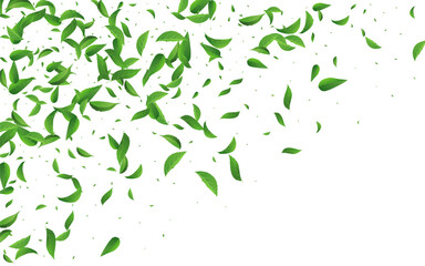 Fototapeta premium 2560x1600ggr35__leif_7_01.eps