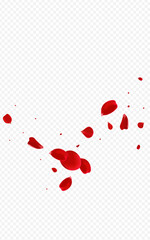 Red_Rose_Petal_Transparent_Background_77.eps