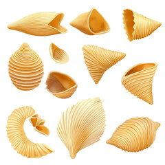 Obraz premium A collection of intricately shaped seashells in various forms and sizes, showcasing natural textures and colors.