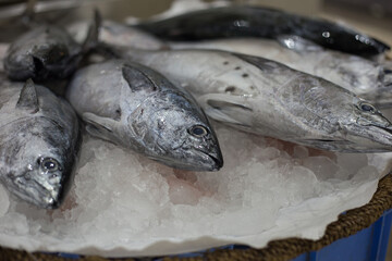 Fresh tuna fish on ice tray sell in fishery market.