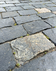 The plants add a touch of life to the otherwise dull and lifeless pavement
