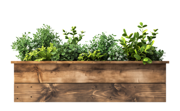 green fresh plants in wooden planter box, white transparent background. cutout