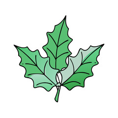holly leaves vector icon, christmas vector illustration - simple illustration of aholly leaves, symbolizing holiday celebrations and festive spirit. christmas flat illustration.