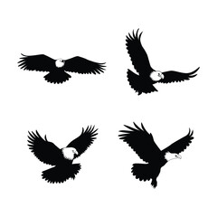Eagle Bird Silhouettes Set: Majestic Flying and Rising Eagle Designs