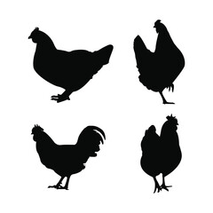 set of chicken silhouettes